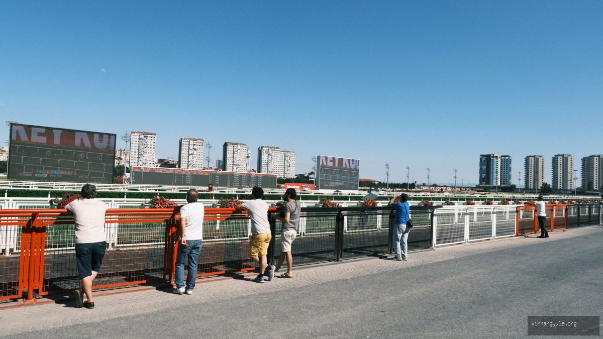 新航官网 详细介绍